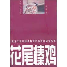 花尾榛鸡/黑龙江省珍稀动物保护与利用研究丛书