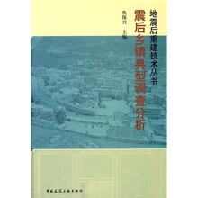 震后乡镇典型调查分析