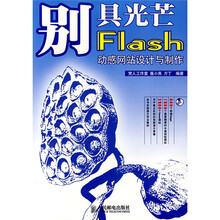 别具光芒:Flash 动感网站设计与制作(附光盘)