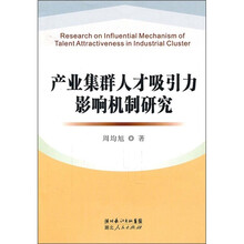 产业集群人才吸引力影响机制研究