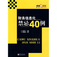 财务信息化禁忌40例