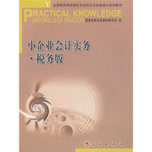 小企业会计实务?税务版