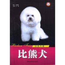 白色天使：比熊犬