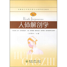 人体解剖学