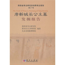 唐新城长公主墓发掘报告