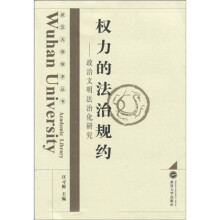 权力的法治规约：政治文明法治化研究