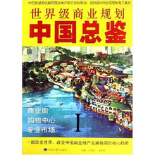 世界级商业规划中国总鉴（共2册）