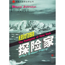纽约的探险家
