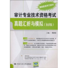 审计专业技术资格考试真题汇析与模拟（初级）