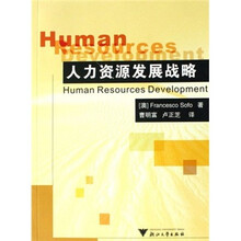人力资源发展战略