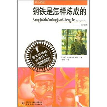 钢铁是怎样炼成的(全译本)