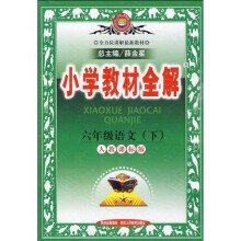 小学教材全解:6年级语文(下)(人教课标版)