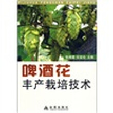 啤酒花丰产栽培技术