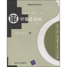管理咨询与审计系列：审计信息系统（第2版）