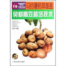 马铃薯稻草覆盖免耕高效栽培技术