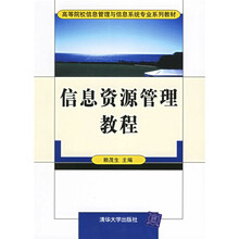 高等院校信息管理与信息系统专业系列教材:信息资源管理教程