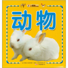 动物：小笨熊金牌早教卡