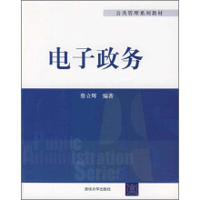 公共管理系列教材：电子政务