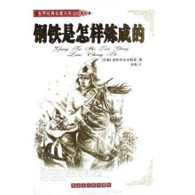 钢铁是怎样炼成的(全译本)