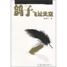鸽子飞过天空