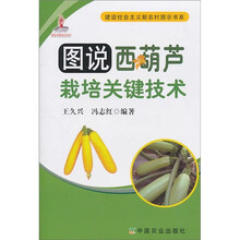 图说西葫芦栽培关键技术