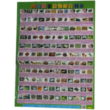 肉禽蛋类食物相克列表