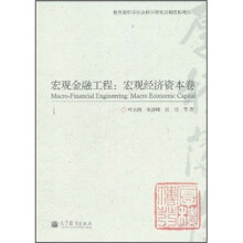 宏观金融工程：宏观经济资本卷