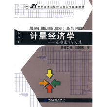 计量经济学：基础理论与方法