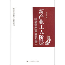 新产业工人阶层（社会转型中的农民工）/城市化与农民工研究丛书