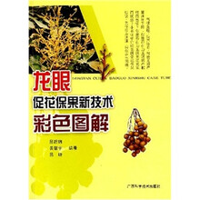 龙眼促花保果新技术彩色图解
