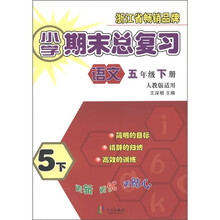 小学期末总复习:语文(5年级下册)(人教版适用)