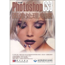 中文版Photoshop CS3图像处理专家(附光盘)