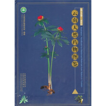 云南天然药物图鉴（第5卷）