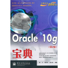 Oracle 10g宝典(第2版)