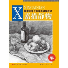 新概念青少年美术辅导教材：素描静物