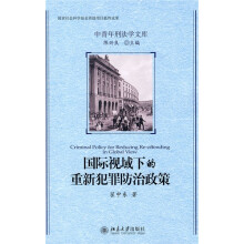 国际视域下的重新犯罪防治政策