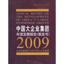 中国大企业集团年度发展报告（紫皮书）：2009全球金融危机中的中国大企业集团