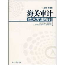 海关审计技术方法指引