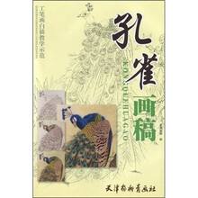 工笔画白描教学示范：孔雀画稿