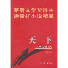 茅盾文学奖得主徐贵祥小说精品：天下