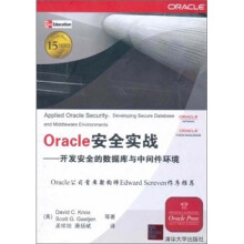 Oracle安全实战:开发完全的数据库与中间件环境