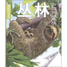 透视与发现：丛林