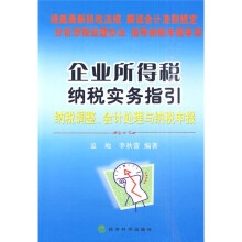 企业所得税纳税实务指引:纳税调整、会计处理与纳税申报