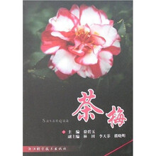 茶梅