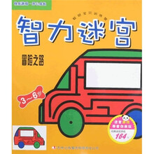 智力迷宫：冒险之路