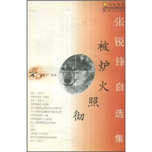 被炉火照彻（张锐锋自选集）