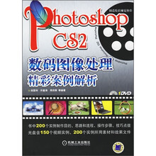 创造精彩视觉体验：Photoshop CS2数码图像处理精彩案例解析（附光盘）