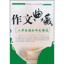 作文典藏·小学生满分作文精选