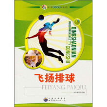 飞扬排球