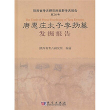 唐惠庄太子李沩墓发掘报告